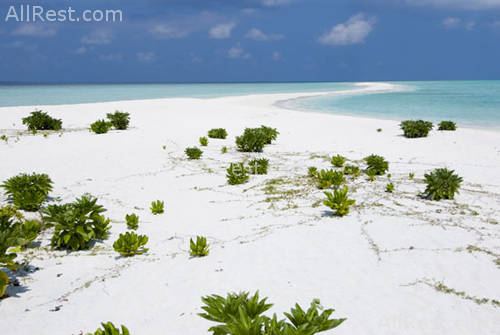 Kuramathi Blue Lagoon 6